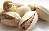 Hoe maak je zaden en noten beter verteerbaar