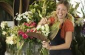 Hoe ontwerp je een bloemen winkel lay-out