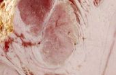 Hoe te bakken spiraal Ham
