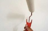 Hoe ter dekking van behang met verf