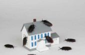 How to Kill kakkerlakken die in uw Oven