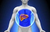 Wat zijn de vijf belangrijkste functies van de lever?