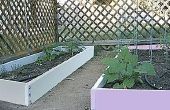 How to Build een verhoogde tuinen