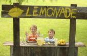 How to Build een eenvoudige Lemonade Stand met karton