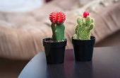 Hoe om te doden van de Cactus wortels