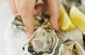 Hoe lang duurt het voor goed gekoelde oesters te gaan slecht?