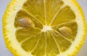 Hoe de behandeling van constipatie met honing en citroensap