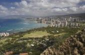De beste graszaad voor Hawaii