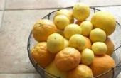 Hoe te bevriezen van sinaasappelen en citroenen