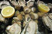 Het openen van oesters zonder een oester-mes