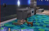 Hoe krijg ik een huisdier voor uw Sim in The Sims 2