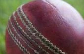 How to Explain Cricket aan een buitenlander
