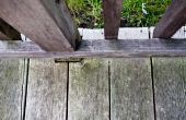 How to Kill korstmossen op houten dekken en andere buiten oppervlakken