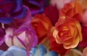 Wit matglas paarse omver te werpen rozen