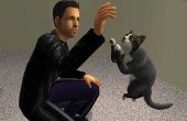 Het installeren van de Sims 2 huisdieren