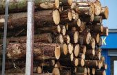 How to Make houten meubels uit een boom