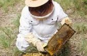 How to Make Fondant voor bijen