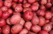 Hoe om rode aardappelen magnetron