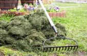 Het gebruik van gras knipsels een tuin bemesten