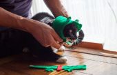Hoe maak je een kikker kostuum voor katten