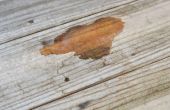 Hoe te verwijderen van Urine geur van hout