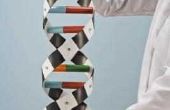 Ideeën voor het maken van een 3D-DNA-Stand voor de Middelbare School