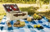 Zuinig picknick voedsel ideeën