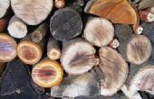 Nadelen van het verbranden van hout