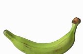 Hoe te het rijpen van bananen in een bruine tas