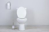 Wat zijn de oorzaken van schimmel in een wc-pot?