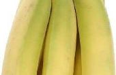 Lijst van manieren om bananen vers te houden