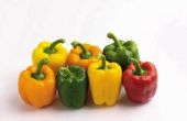 Hoe schil van groene paprika 's