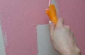 Hoe vrijwel verf muren in verschillende kleuren