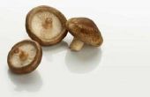 How to Grow Mushrooms met Mason Jars