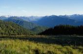 Olympic National Park paard Camping