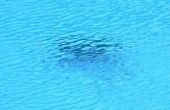 Waarom verdwijnt de chloor in een zwembad