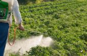 Informatie over Orthene Insect Spray