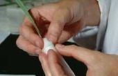 Gemakkelijke manier te verwijderen Super Glue van je vingers