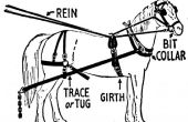 Delen van een paard rijden harnas