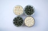 Wat voor soort Bean zaden gebruik voor een wetenschappelijk Experiment