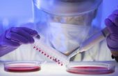 How to Set Up een bloedplasma laboratorium
