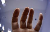 Beschrijving van de anatomie van een menselijke vinger