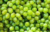 Hoe bewaart u pitloze druiven