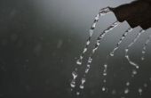 Is het illegaal om regen vaten hebben in de staat Washington?