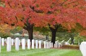 Hoe vindt u een graf in Arlington National Cemetery