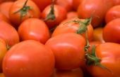 How to Cook Down Plum Tomatoes in saus