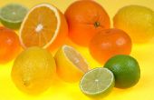 Hoe te kopen van citroenzuur poeder