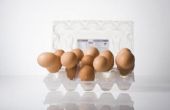 Achtergrondinformatie over Egg Drop experimenten