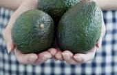 De beste manier om avocado's laat rijpen