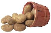 Inhoud van de aardappel die elektriciteit kunnen uitvoeren